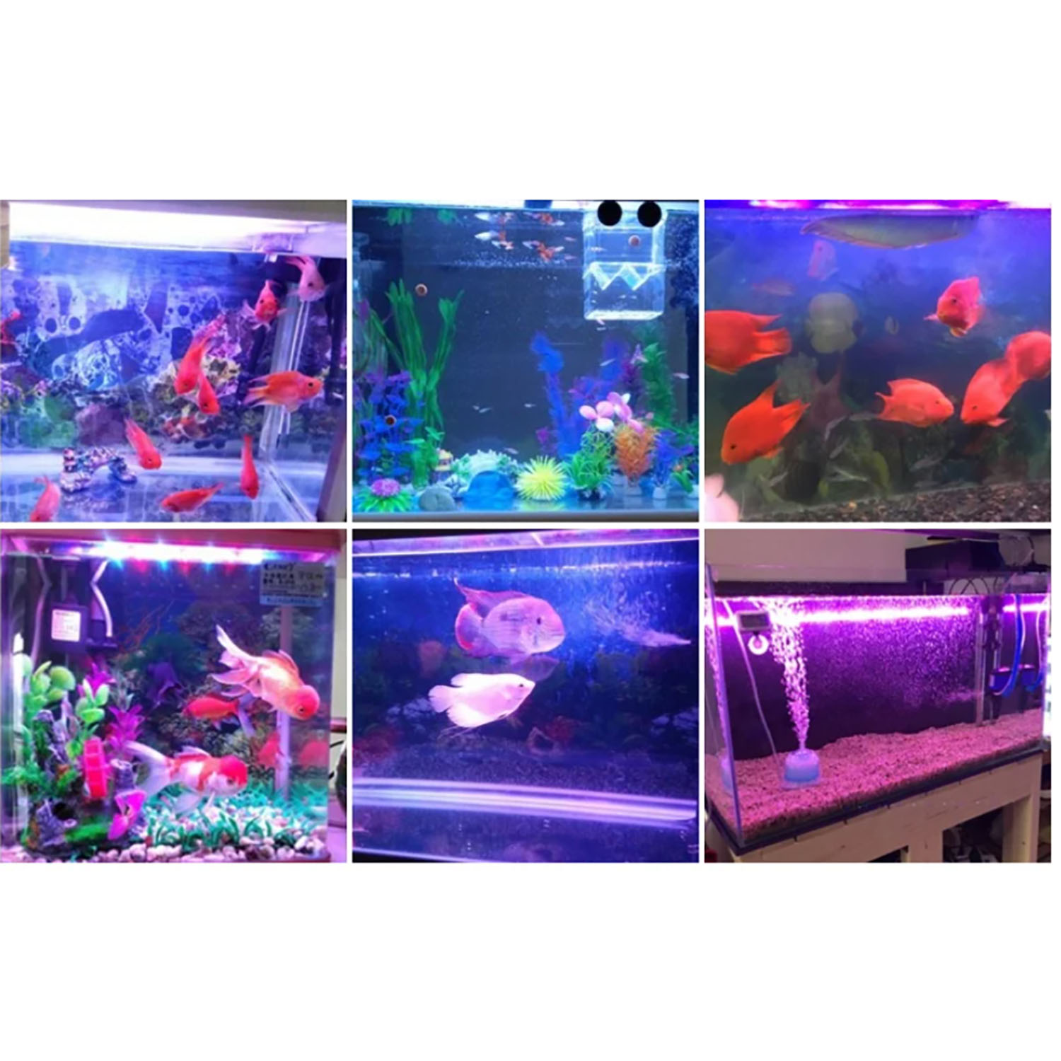 Aquarium Marine Color - Светодиодное освещение для аквариумов 50W 60W