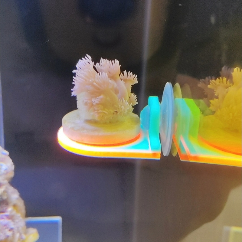 Цвет случайный коралловый держ – обзор и цена Aquarium Marine Color